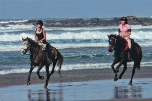 Langebaan Beach Ride