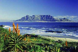 Table Mountain