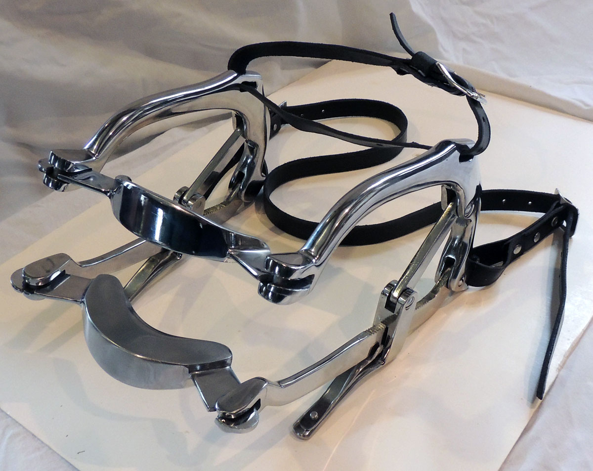 The American School of Equine Dentistry